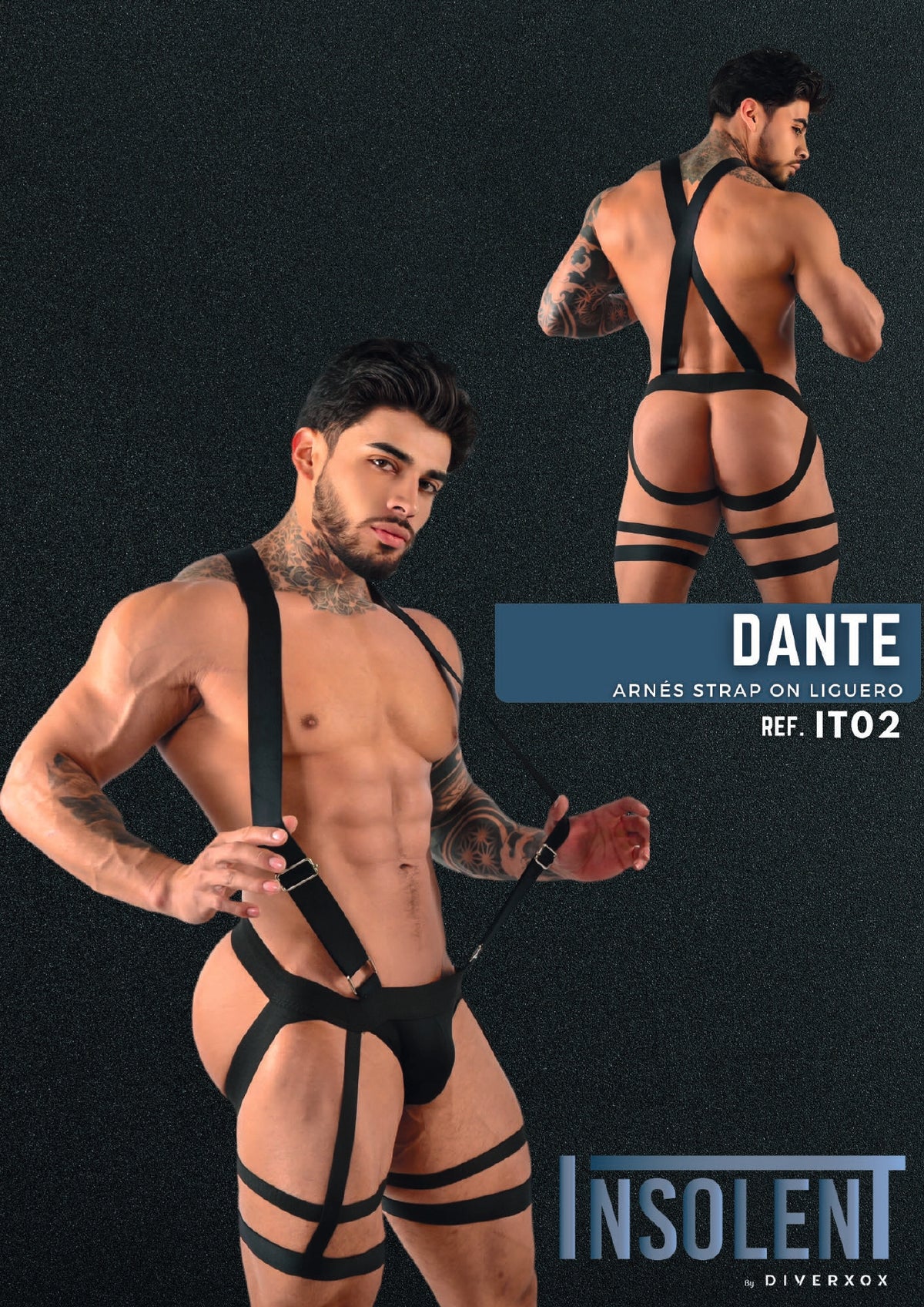 Suspensorio con Arnés Masculino Insolent Negro