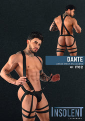 Suspensorio con Arnés Masculino Insolent Negro